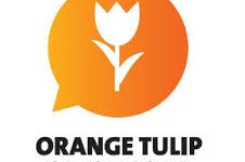 Orange Tulip